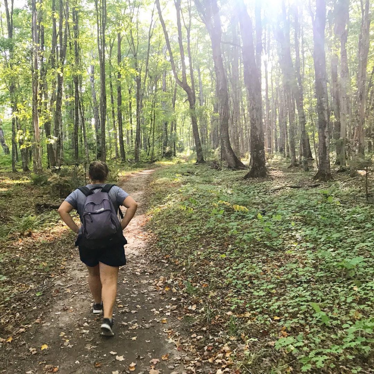 Walking along a woodland trail